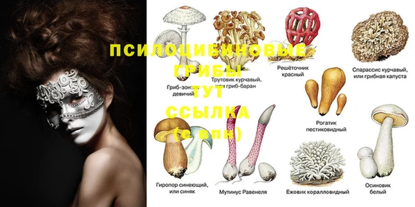 крисы Балабаново